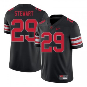 Deshawn Stewart #29 Ohio State Buckeyes Black Men Sewn Jersey | Essential NCAA Football Merch 01yFcd11