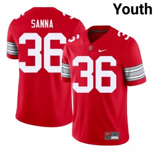 CJ Sanna #36 OSU Buckeyes Scarlet Youth Embroidery Jersey | Fresh University Football Uniform Q81S6137