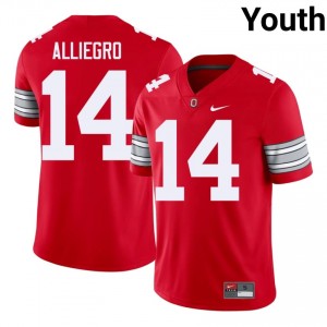Christian Alliegro #14 OSU Buckeyes Scarlet Youth Embroidery Jersey | Premium University Football Apparel 502W0D71