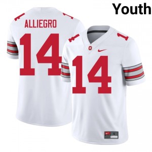Christian Alliegro #14 Ohio State White Youth Stitched Jersey | Authentic College Football Uniform gq86cl45