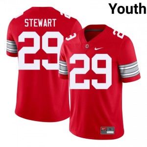 Deshawn Stewart #29 Ohio State Scarlet Youth Embroidery Jersey | Pro-Grade NCAA Football Gear V7T61349